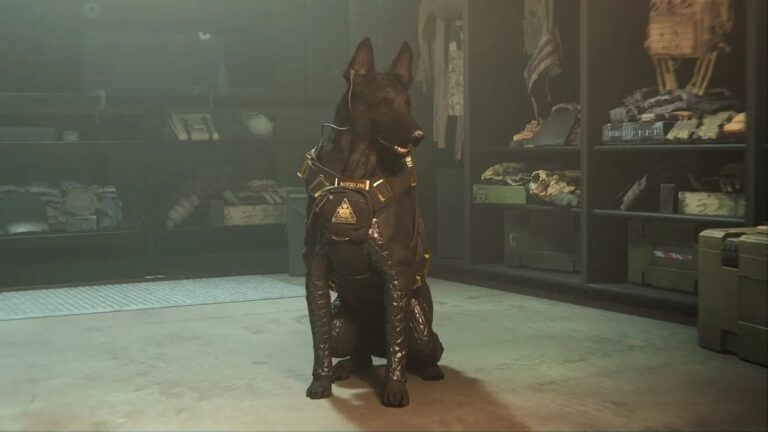 רובים וכלבים: Call of Duty מוסיפה שוב כלב למשחק