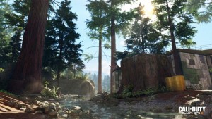 BO3 REDWOOD MAP