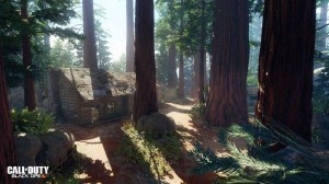 מפות בלאק אופס 3