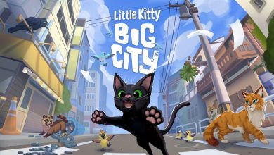 תמונת ההכרזה של המשחק "חתול קטן, עיר גדולה"