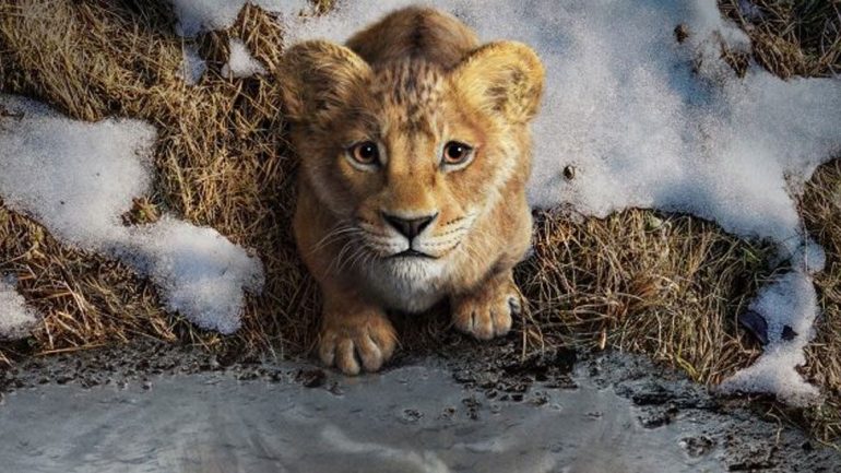 מופאסה הגור הצעיר מתוך הסרט Mufasa: The Lion King